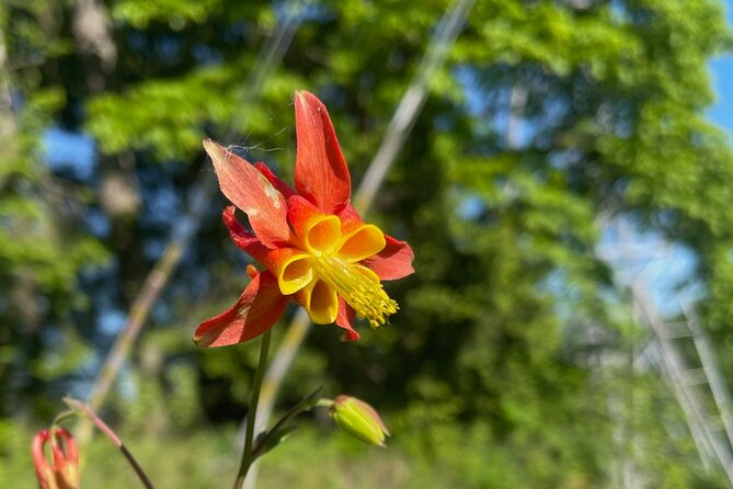 Forest Park Carbon Gravel Bike and E-Bike Tour - Who Will Enjoy This Tour Most?