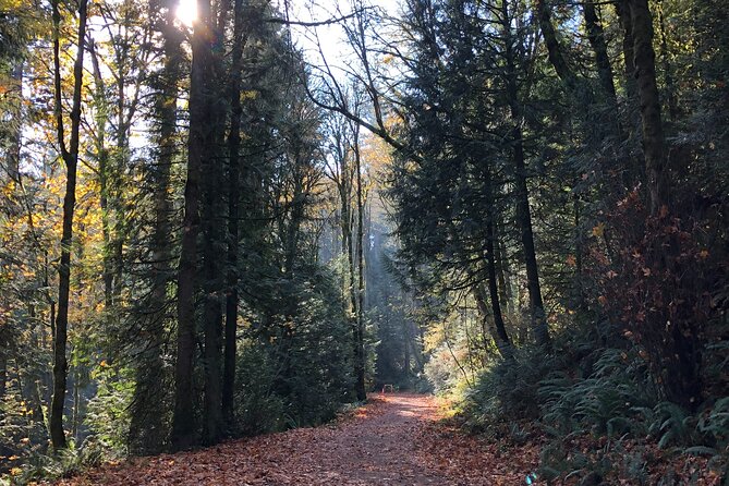 Forest Park Carbon Gravel Bike and E-Bike Tour - Frequently Asked Questions