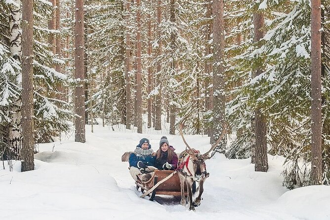 Forest Trail Reindeer Safari - Flexibility and Cancellation Policies