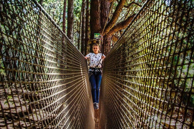 Forestal Park Tenerife Entrance Ticket - Who Will Enjoy This Adventure the Most