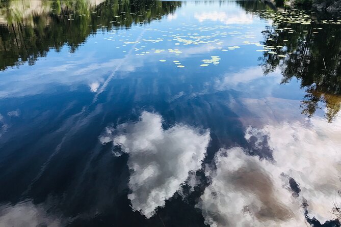 Forestbathing Slow Walking and Healing Spring Water, Stockholm - The Lake Rest and Meditation Spot