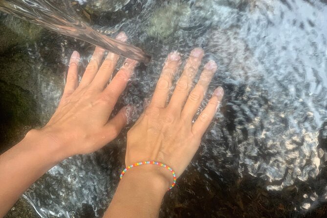 Forestbathing Slow Walking and Healing Spring Water, Stockholm - Practical Details: Transportation, Group Size, and Weather