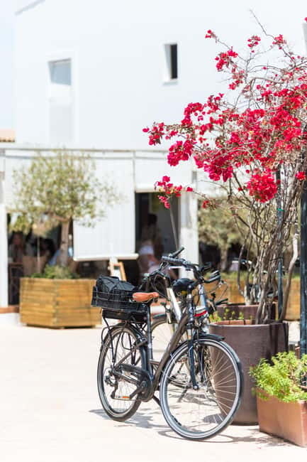 Formentera: discover our fast ferry + bike package - Price and What’s Included in the Package
