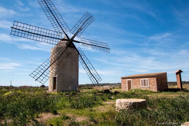 Formentera: discover our fast ferry + electric bike package. - Practical Logistics and Meeting Points