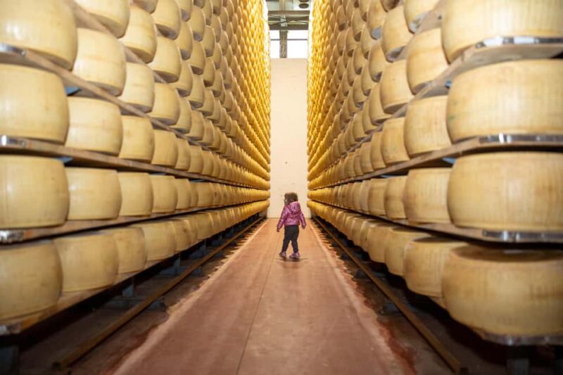Formigine: Parmigiano tour with full tasting - Understanding the Parmigiano Tour at Azienda Agricola Moscattini