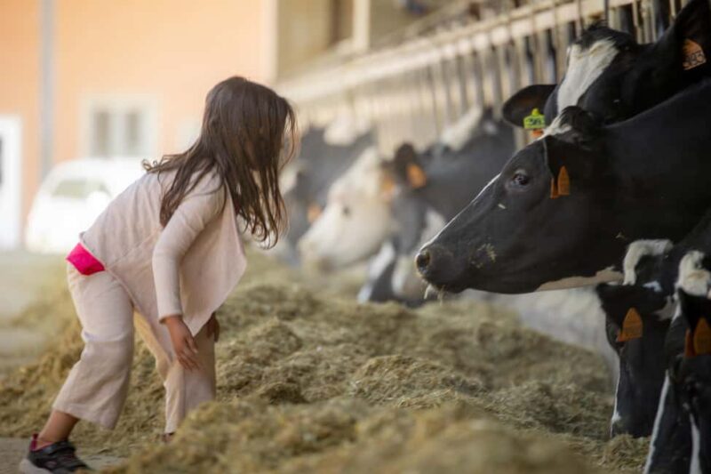 Formigine: Parmigiano tour with full tasting - Watching the Sfogline Craft Fresh Pasta