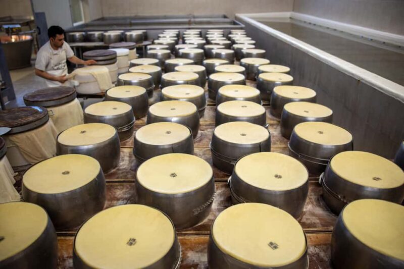 Formigine: Parmigiano tour with full tasting - Practical Details and Logistics for Visitors