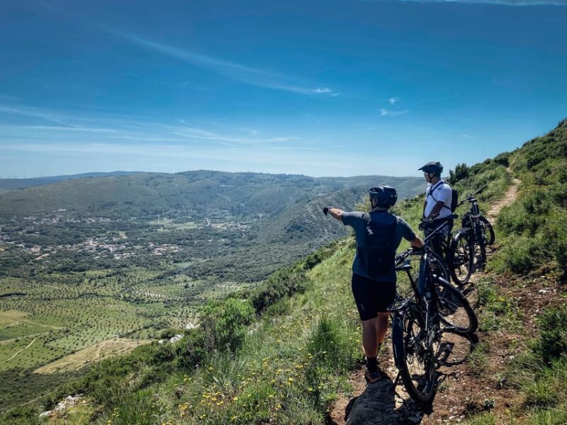 Fórnea E-bike and Olive Oil tour - Who Will Enjoy This Tour Most?