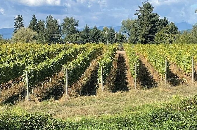 Fort Langley, Bridal Veil Falls and Winery Private tour - Who Will Enjoy This Tour Most?