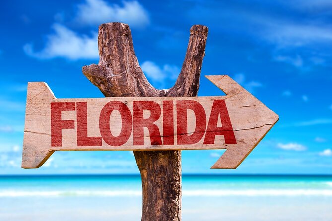 Fort Lauderdale Airport Private Transfer (Up To 14 Passengers) - Who Will Benefit Most from This Private Transfer?