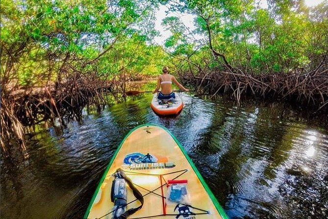 Fort Lauderdale Bonnet House Ground and Guided Paddle Board Kayak - Discover the Fort Lauderdale Bonnet House Ground and Guided Paddle Board Kayak Tour