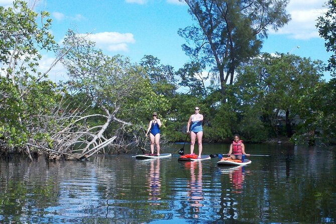 Fort Lauderdale Bonnet House Ground and Guided Paddle Board Kayak - Why This Tour Offers Good Value