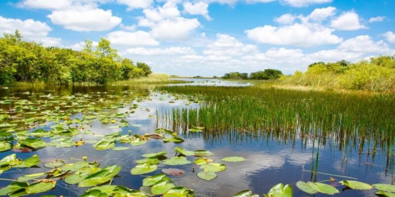 Fort Lauderdale: Everglades Express Tour with Airboat Ride - Tasty Food Options at The Gator Grill and Gator Emporium
