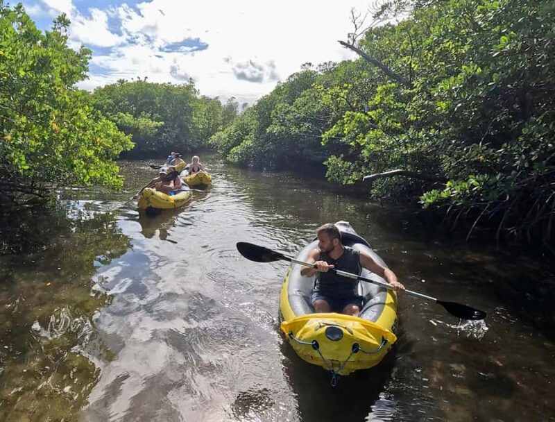 Fort Lauderdale: Kayak & Paddleboard Mangroves Eco Adventure - Relaxation, Photos, and Refreshments on the Water