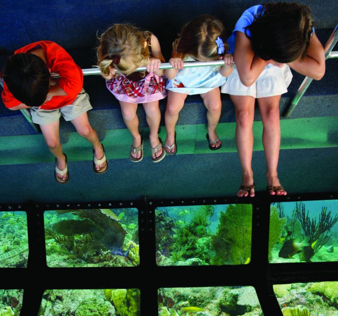 Fort Lauderdale: Key West Day Trip with Optional Activities - Value and Flexibility for Budget-Conscious Travelers