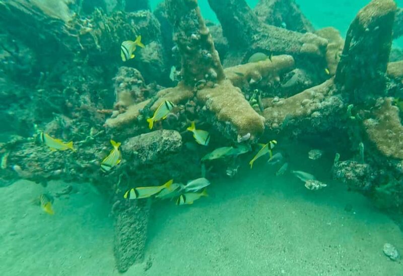 Fort Lauderdale: Ocean Reef Snorkel Tour w/ Snacks & Drinks - Discover a Hidden Snorkeling Spot Along Fort Lauderdale’s Coastline