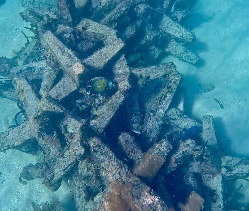 Fort Lauderdale: Ocean Reef Snorkel Tour w/ Snacks & Drinks - Flexible Timing and Group Experience