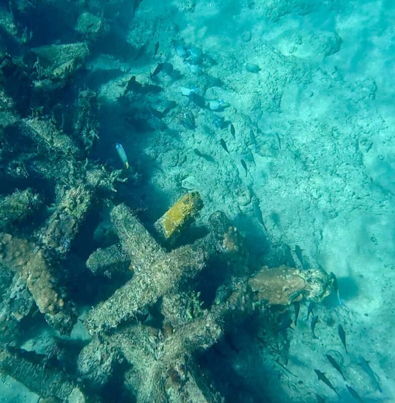 Fort Lauderdale: Ocean Reef Snorkel Tour w/ Snacks & Drinks - Booking and Cancellation Flexibility