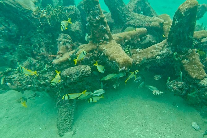 Fort Lauderdale: Ocean Reef Snorkeling Tour w/ Snacks & Drinks - Discover Fort Lauderdale’s Local Snorkeling Spot for Only $60