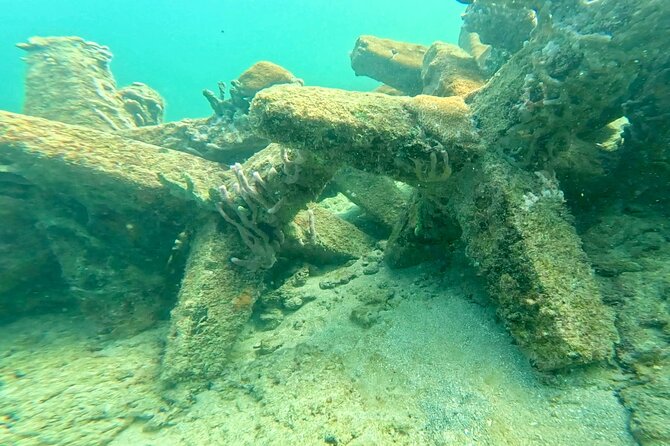 Fort Lauderdale: Ocean Reef Snorkeling Tour w/ Snacks & Drinks - Exploring Artificial Reefs and Soft Corals Close to Shore