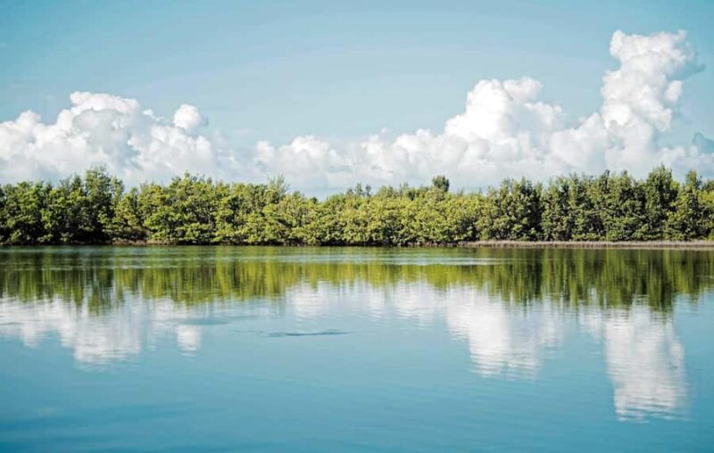 Fort Lauderdale to Islamorada Day Trip - Comfortable Transportation and Guided Narration