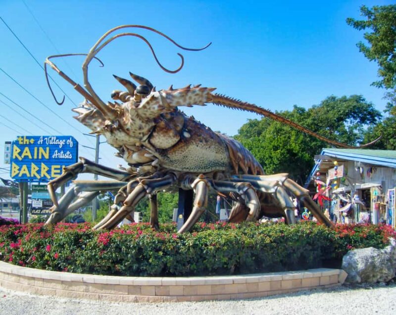 Fort Lauderdale to Islamorada Day Trip - Special Features of the Tour: Small Group & Expert Guides