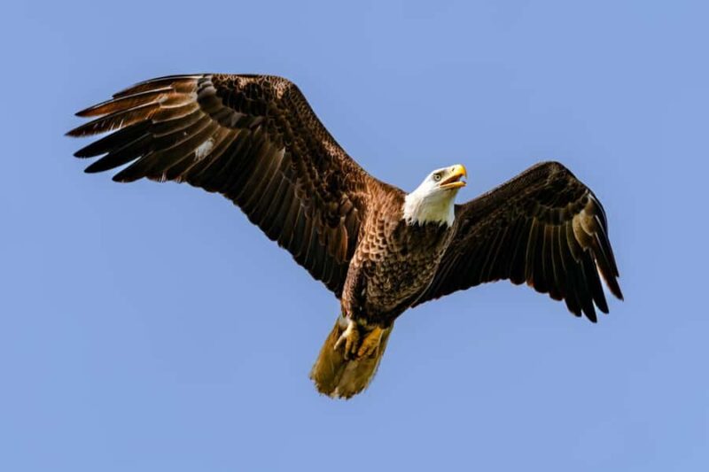 Fort Lauderdale to Islamorada Day Trip - Practical Details and What to Bring