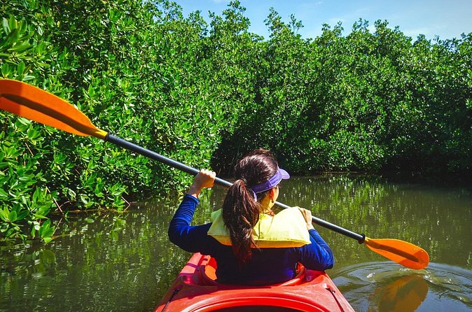 Fort Lauderdales Tropical Kayak Tour and Island Adventure - Practical Tips and What to Bring