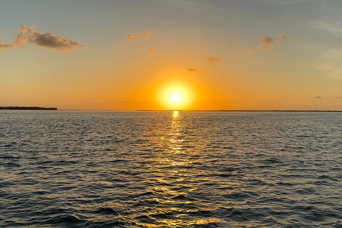 Fort Myers Beach Sightseeing with Shark Teeth and Shelling Tour - Spotting Dolphins in Their Favorite Hangouts