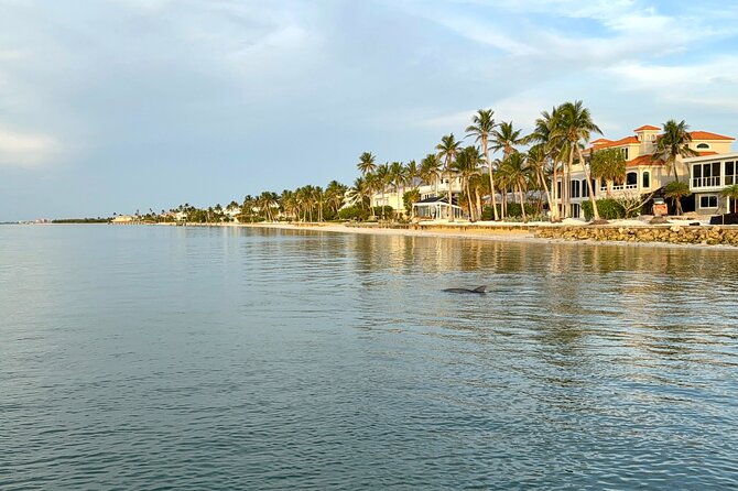 Fort Myers Beach Sightseeing with Shark Teeth and Shelling Tour - Practical Information: Whats Included and What to Expect