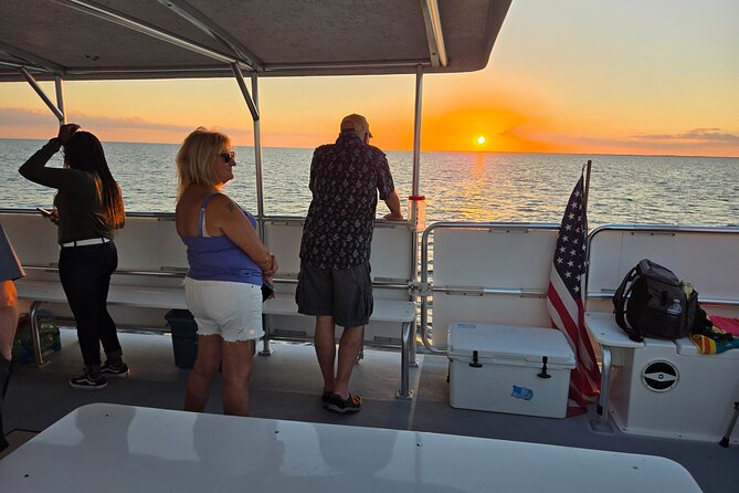 Fort Myers Beach Sunset Excursion - Wildlife Encounters: Dolphins and Seabirds