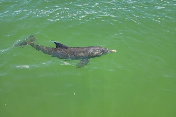 Fort Myers Beach Sunset Excursion - Practical Details: Meeting Point and Booking