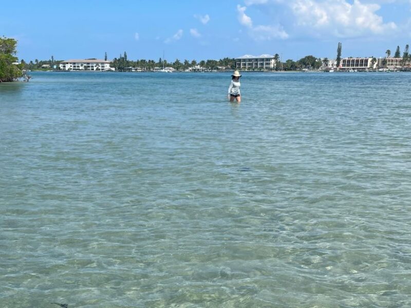 Fort Pierce: 4-hr Mangroves & Dolphin Watch Sandbar in FL - The Electric Motor and Return Paddle