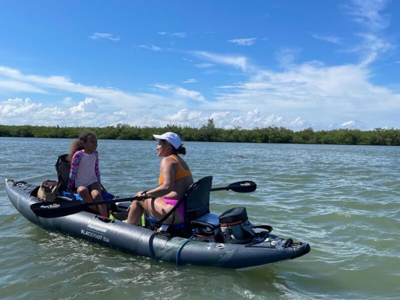 Fort Pierce: 4-hr Mangroves & Dolphin Watch Sandbar in FL - Safety and Group Size Considerations