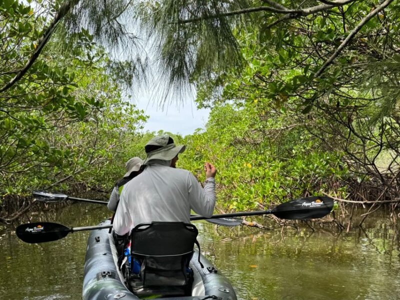 Fort Pierce: 6-hr Mangroves, Coastal Rivers & Wildlife in FL - Exploring the Narrow Mangrove Tunnels and Winding Waterways