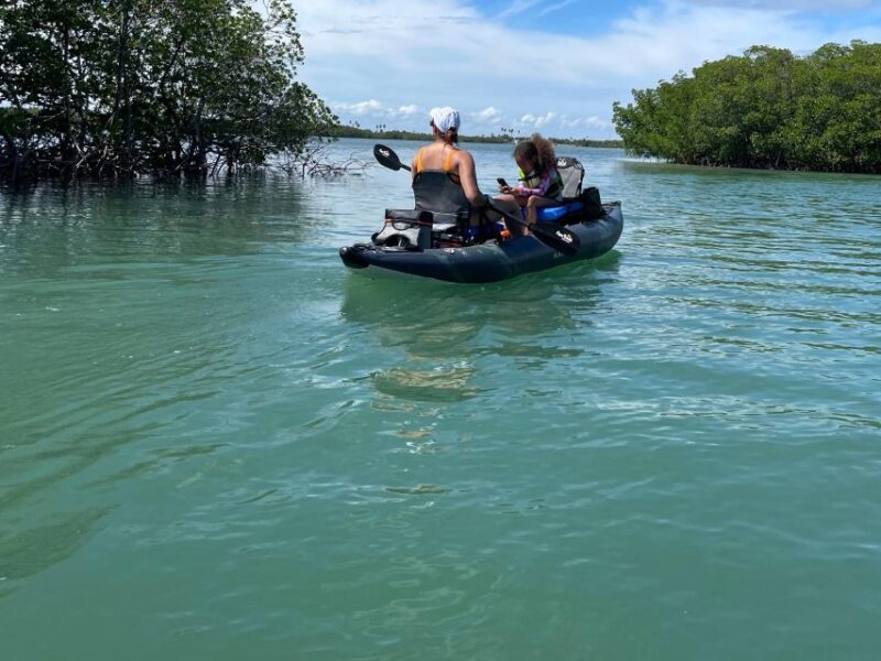 Fort Pierce: 6-hr Mangroves, Coastal Rivers & Wildlife in FL - The Use of Electric Propulsion for a Relaxing Return