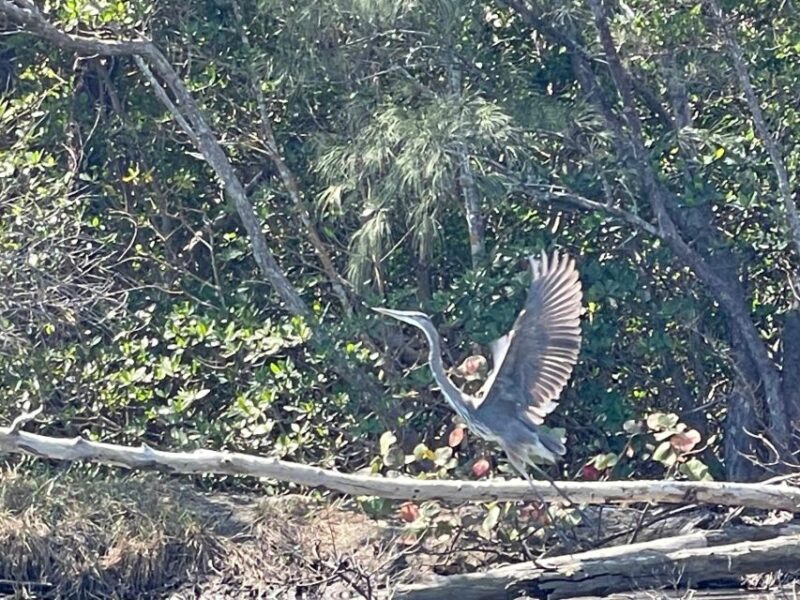 Fort Pierce: 8-hr Jungle and Lagoon passage to Ocean in FL - Midway Stop at an Iconic Waterside Restaurant