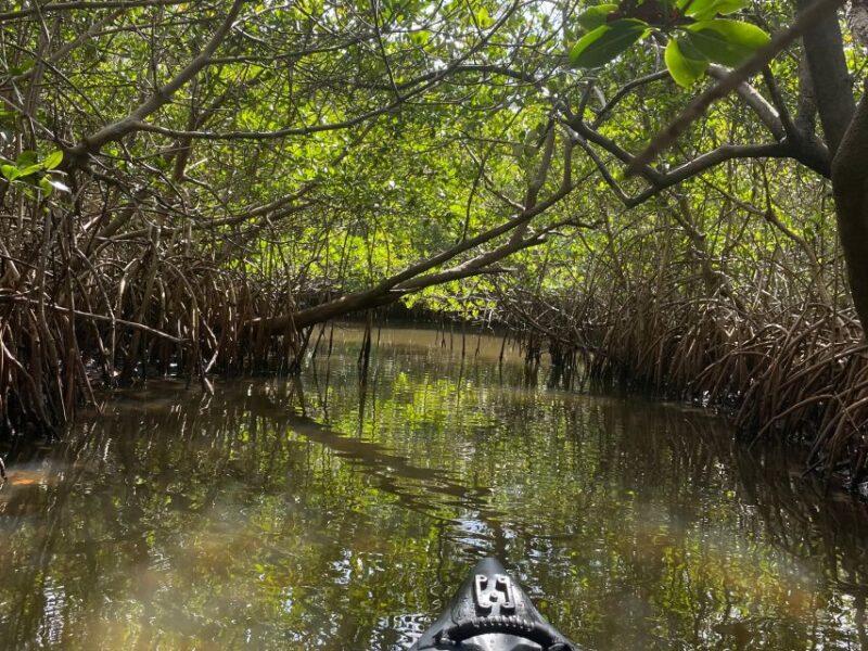 Fort Pierce: 8-hr Jungle and Lagoon passage to Ocean in FL - Logistics and Safety Considerations
