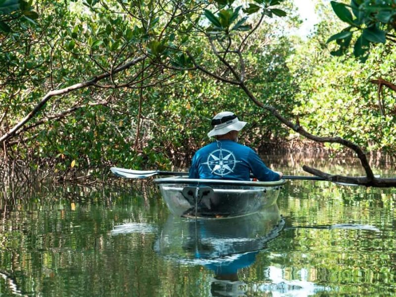 Fort Pierce: Clear Kayak Tour with Wildlife Sightings - Explore Florida’s Indian River Lagoon in a Clear Kayak