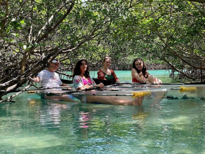 Fort Pierce: Clear Kayak Tour with Wildlife Sightings - Key Points