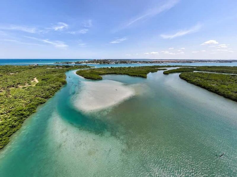 Fort Pierce: Clear Kayak Tour with Wildlife Sightings - Paddling Through Mangrove Tunnels and Shallow Sandbars