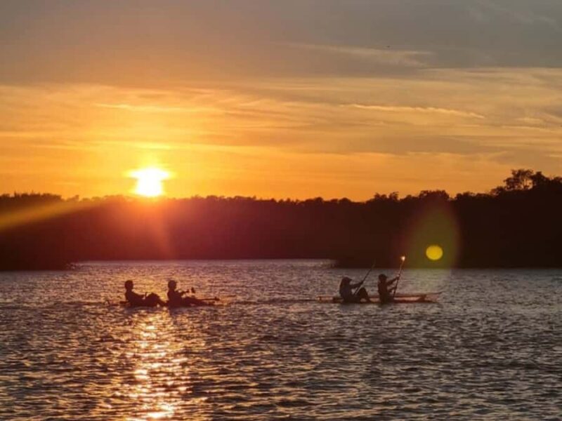 Fort Pierce: Clear Kayak Tour with Wildlife Sightings - What Makes the Fort Pierce Clear Kayak Tour Special