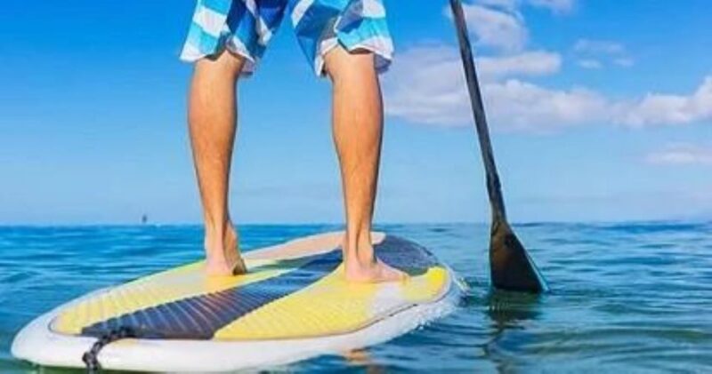 Fort Walton Beach: Paddle Board Rental - Wildlife and Nature Encounters from the Paddleboard