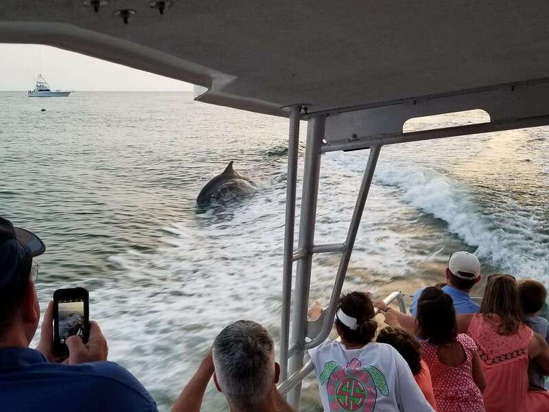 Fort Walton: Dolphin Discovery and Snorkeling Cruise - Scenic Route Through Destin Harbor and Okaloosa Island