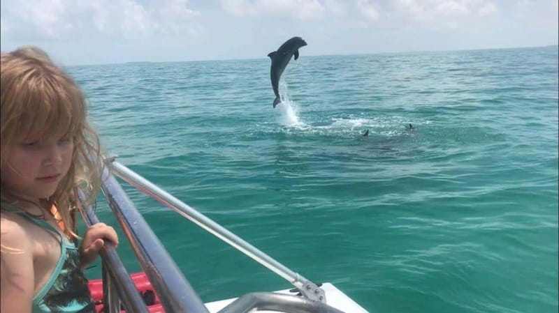 Fort Walton: Dolphin Discovery and Snorkeling Cruise - Guides’ Expertise and Educational Approach
