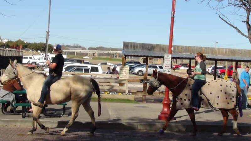 Fort Worth: Heritage and Landmarks Open-Air Tour - Discovering the Spirit of Texas at the Fort Worth Stockyards