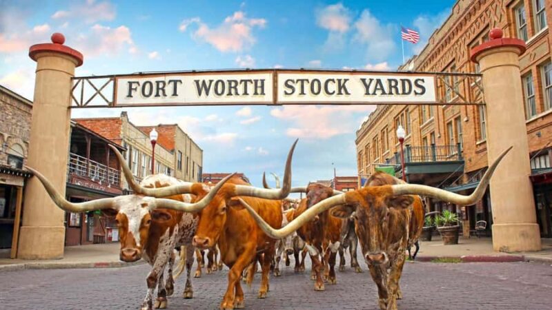 Fort Worth: Heritage and Landmarks Open-Air Tour - The Cultural District’s Architectural Marvels