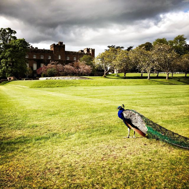 Four Cities, One Day: St. Andrews, Dundee, Perth & More - Is This Tour Right for You?