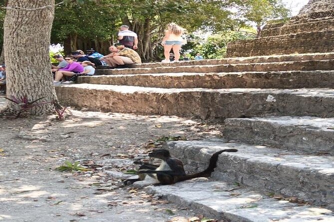 Four Hours Jungle Adventure to Mayan Ruins - Practical Tips for a Smooth Tour