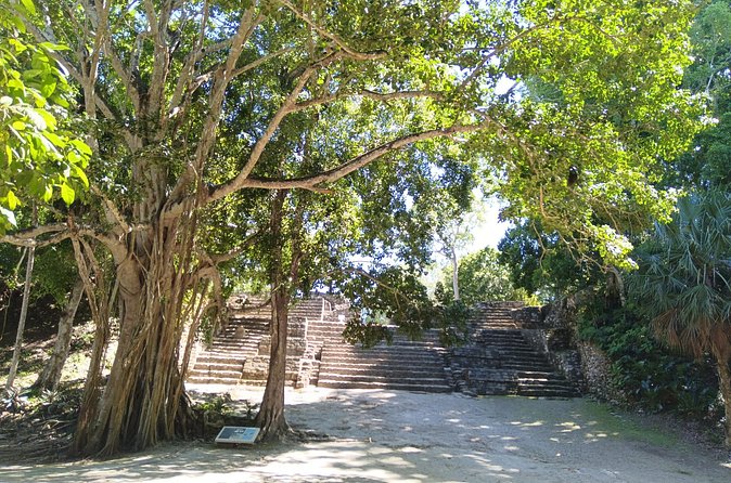 Four Hours Jungle Adventure to Mayan Ruins - Cancellation and Weather Policy